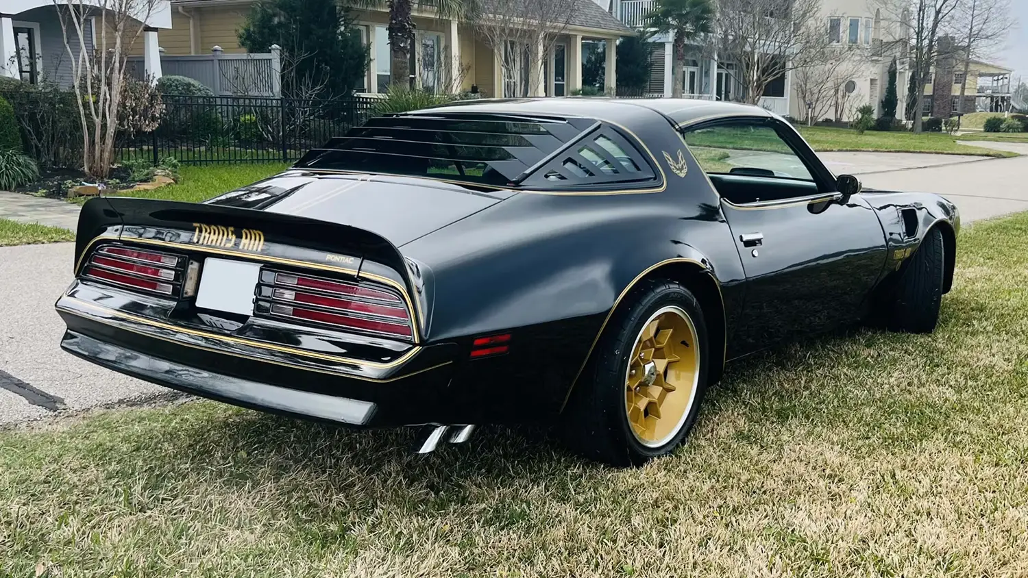 1976 Pontiac Trans Am Special Edition 1976 Pontiac Trans Am Special Edition