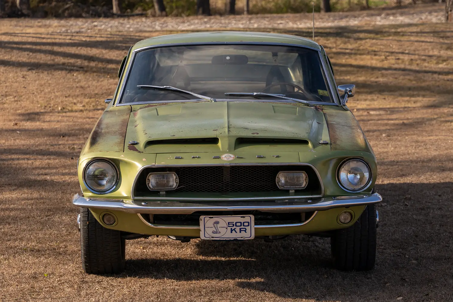 1968 Shelby Mustang GT500KR