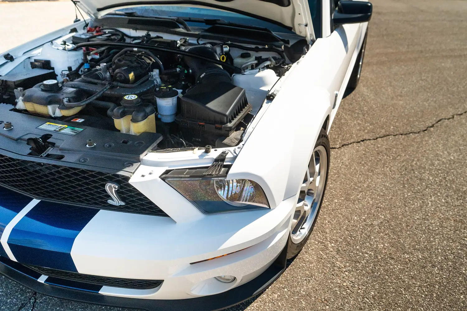 2007 Ford Mustang Shelby GT500 2007 Ford Mustang Shelby GT500