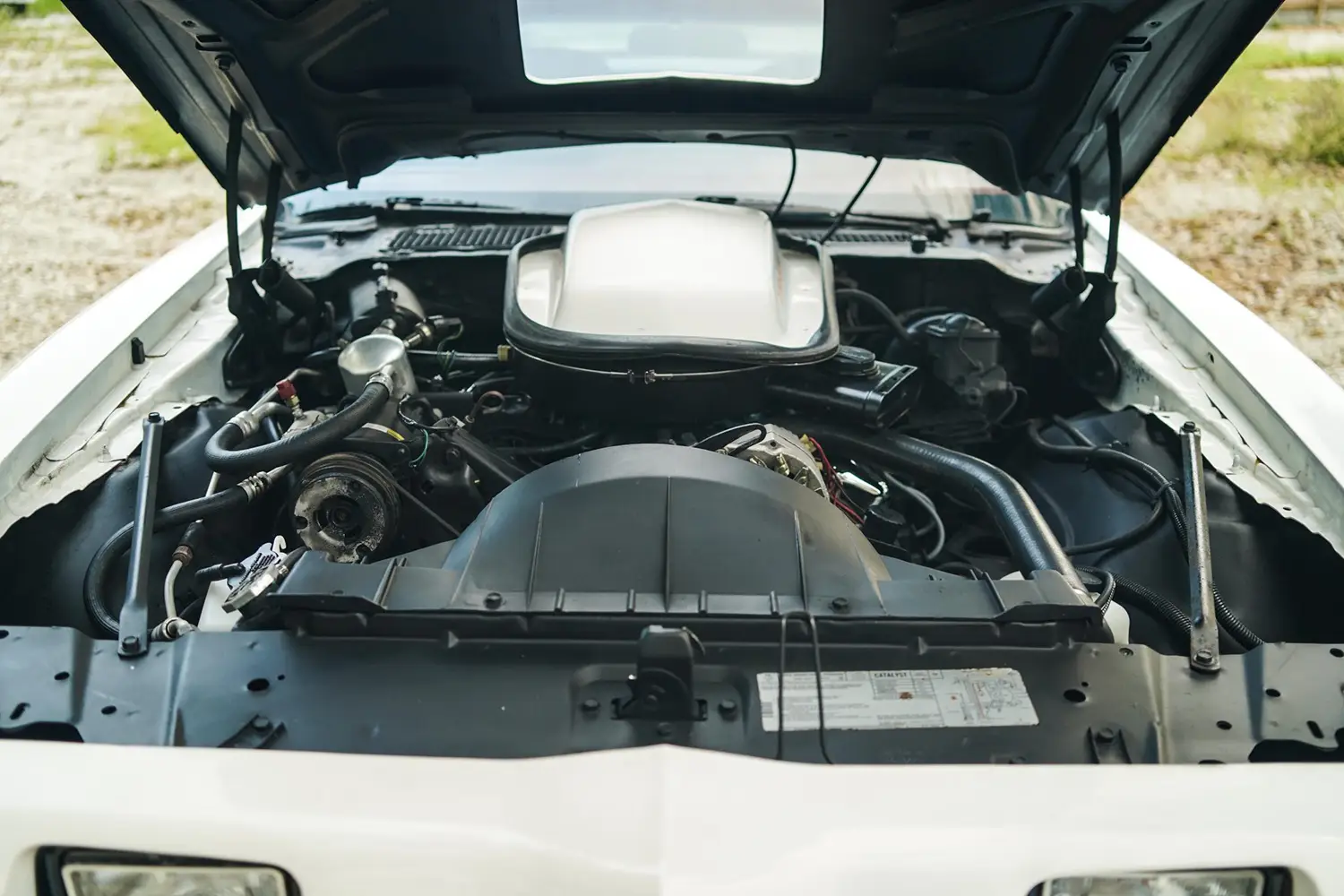 1979 Pontiac Firebird Trans Am