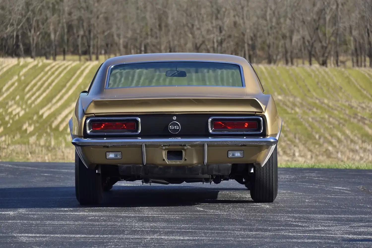 1967 Chevrolet Camaro RS/SS