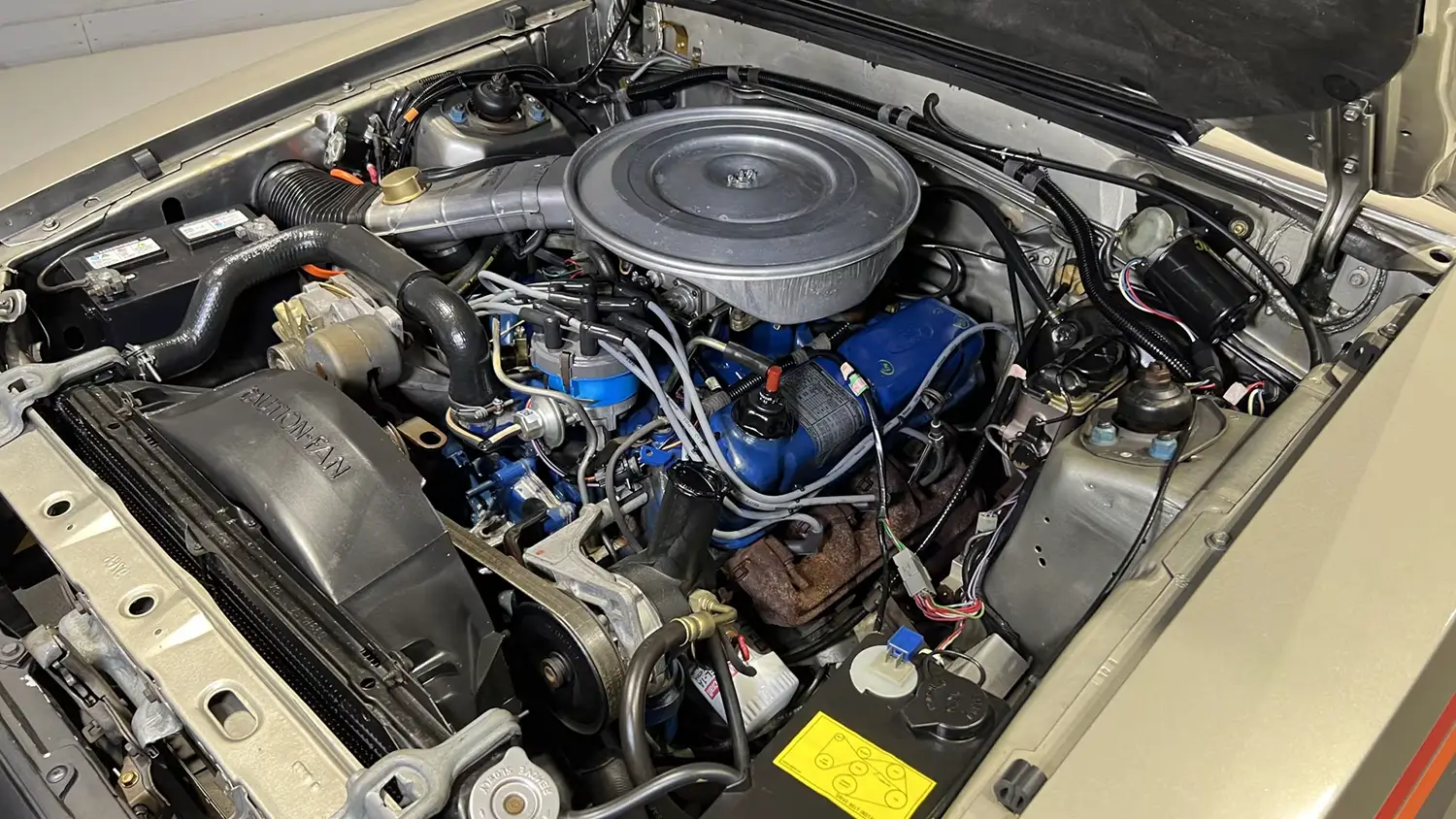 1979 Ford Mustang Pace Car Edition