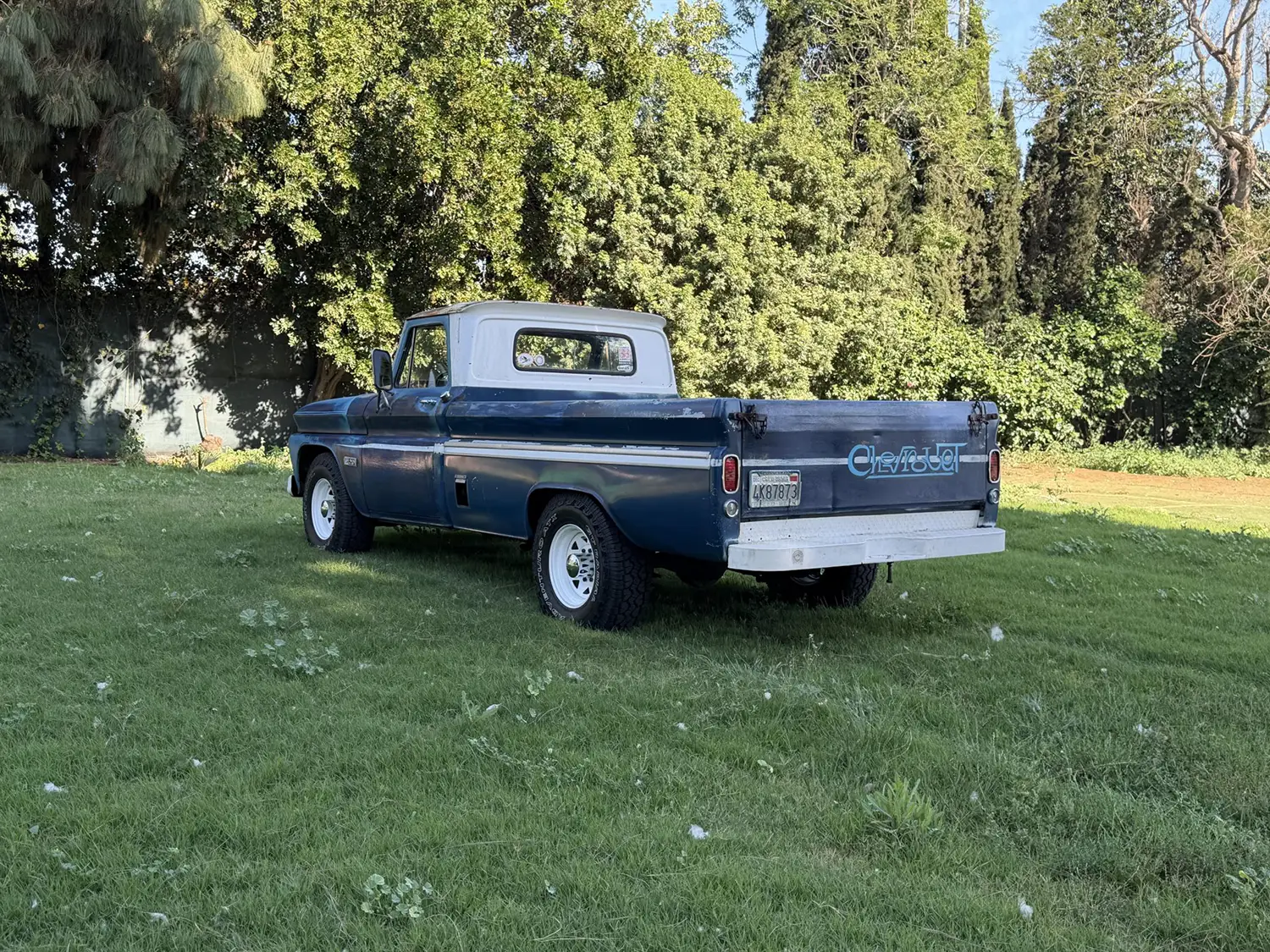 1966 Chevrolet C20