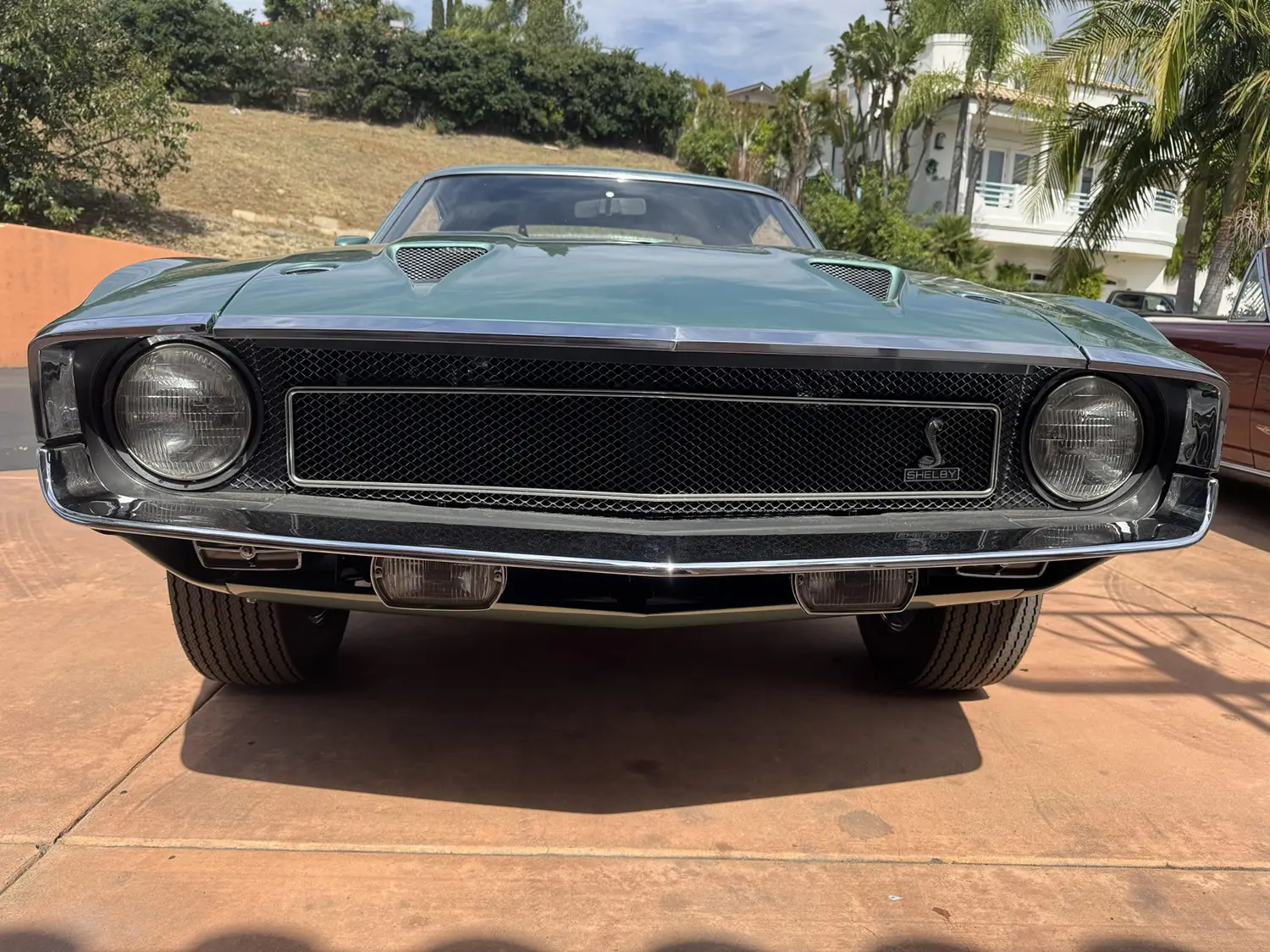 1969 Shelby GT350