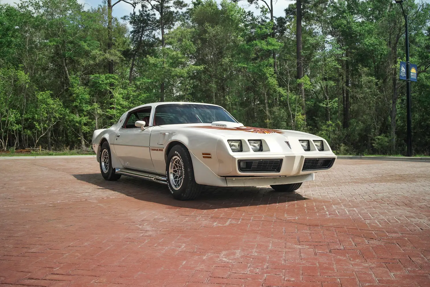 1979 Pontiac Firebird Trans Am