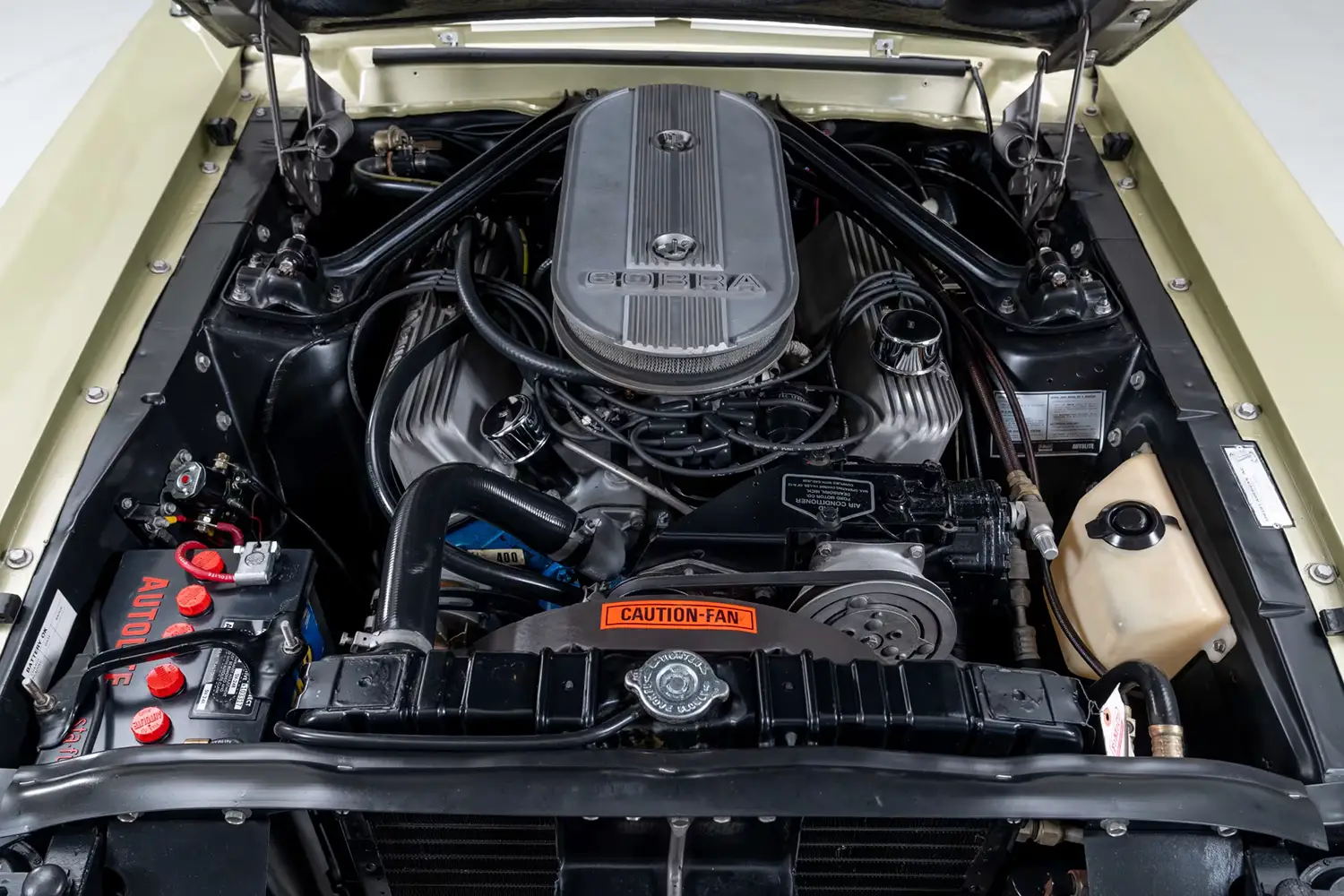 1967 Shelby GT500 Fastback