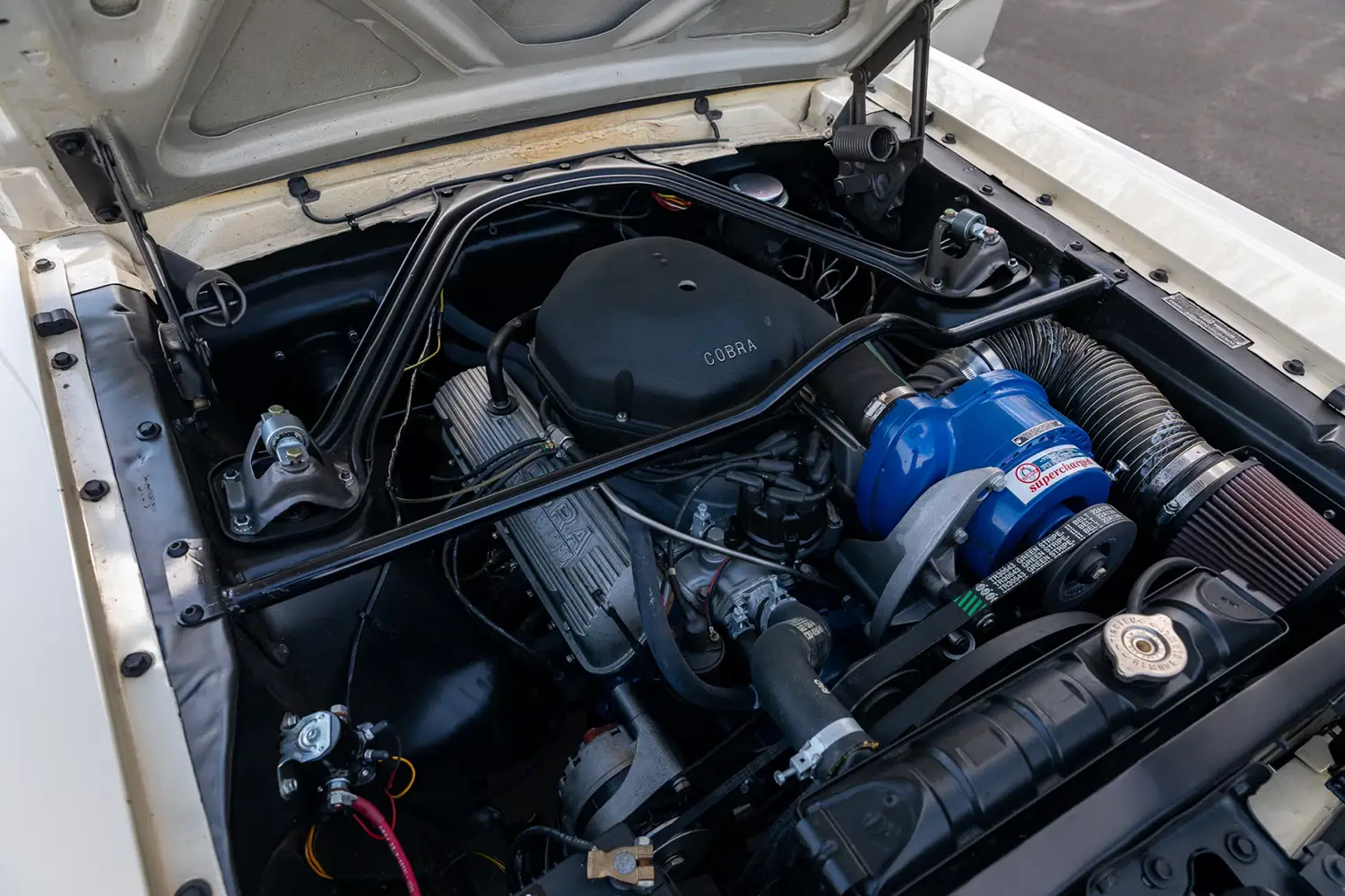 1966 Shelby GT350H Fastback - Photo 5