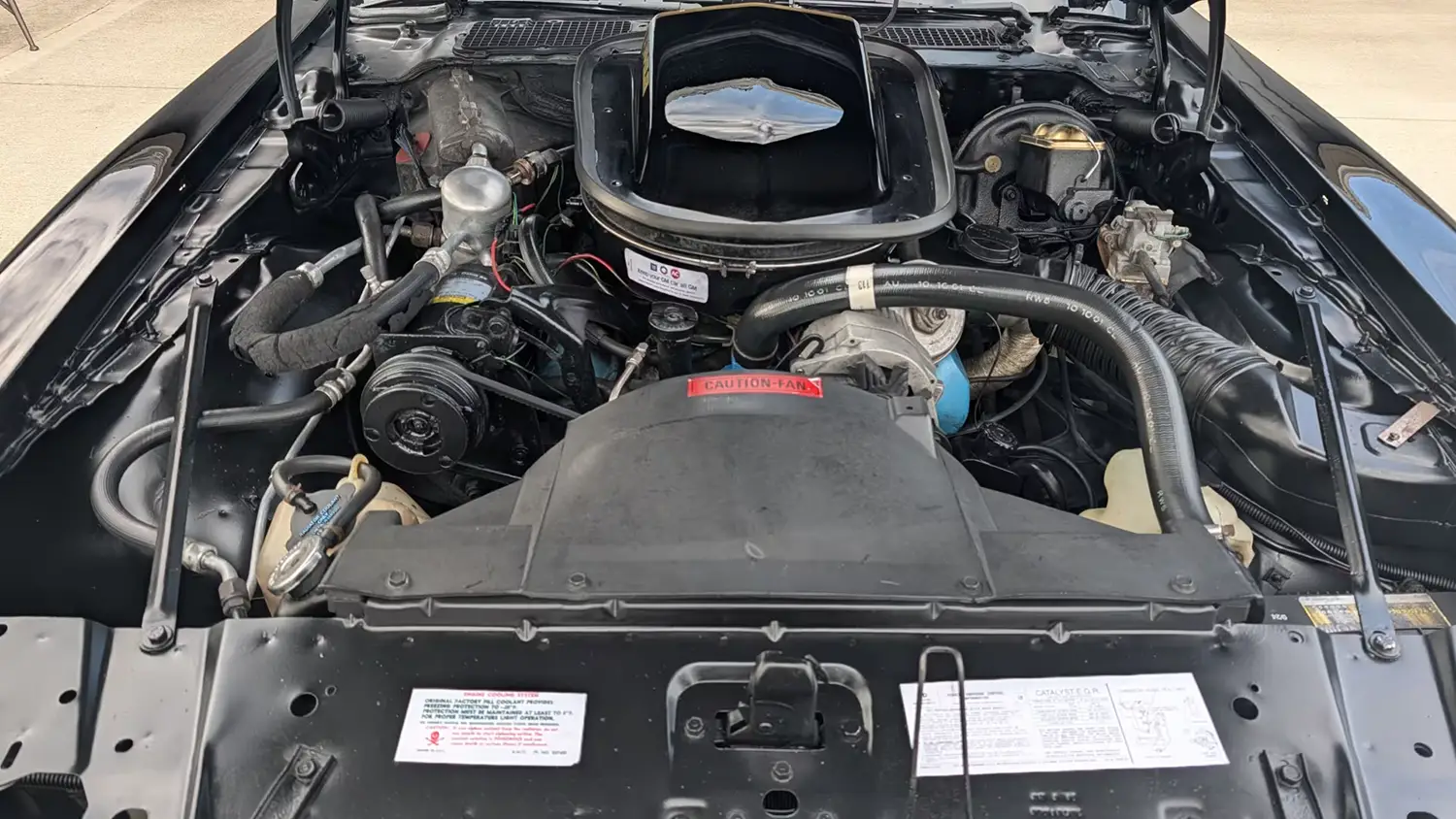 1979 Pontiac Trans Am SE