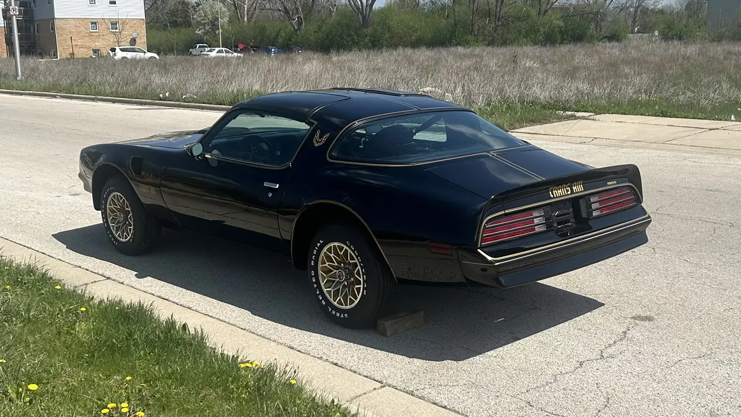 1977 Pontiac Trans Am SE