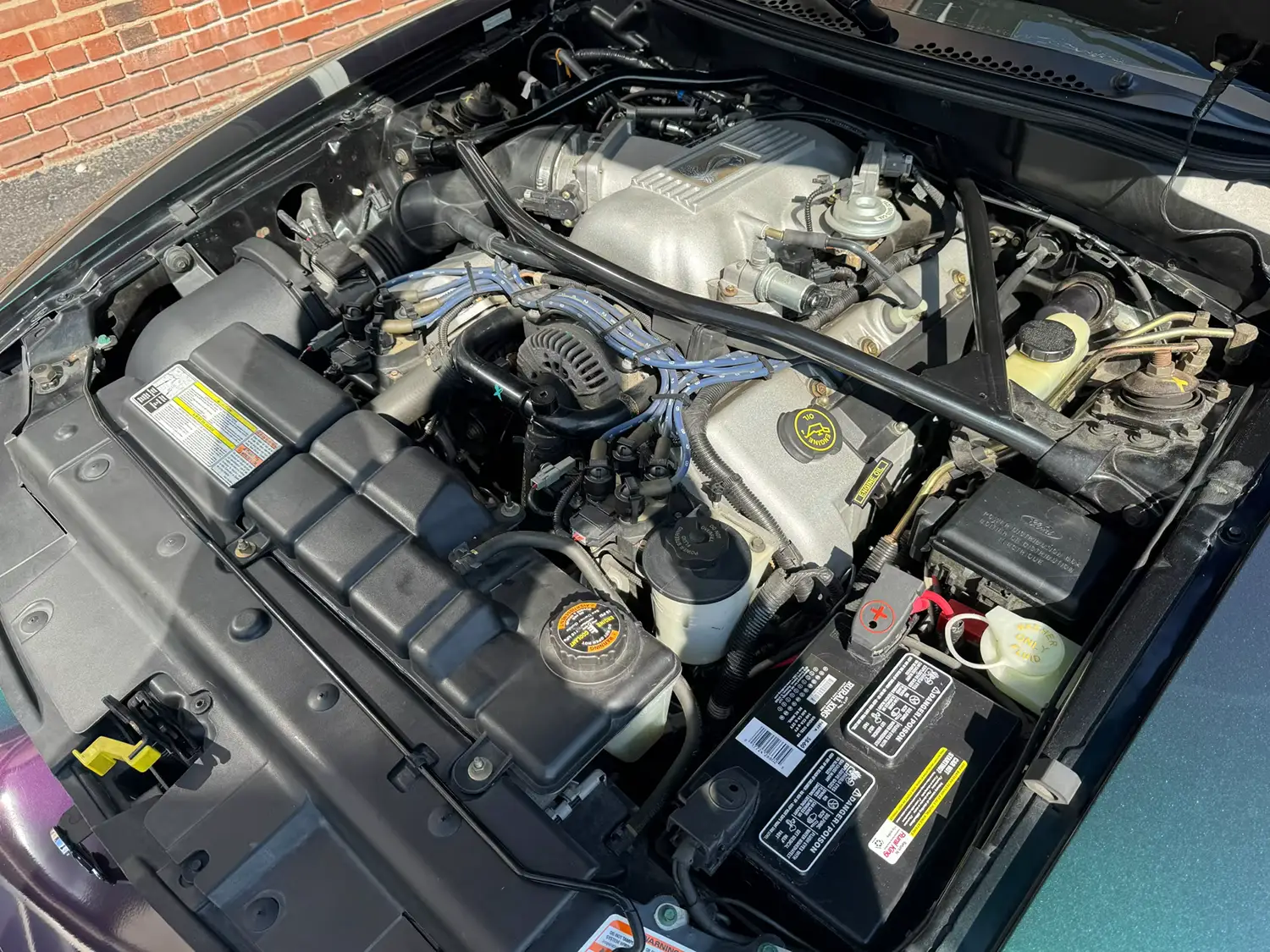 1996 Ford Mustang SVT Cobra 1996 Ford Mustang SVT Cobra