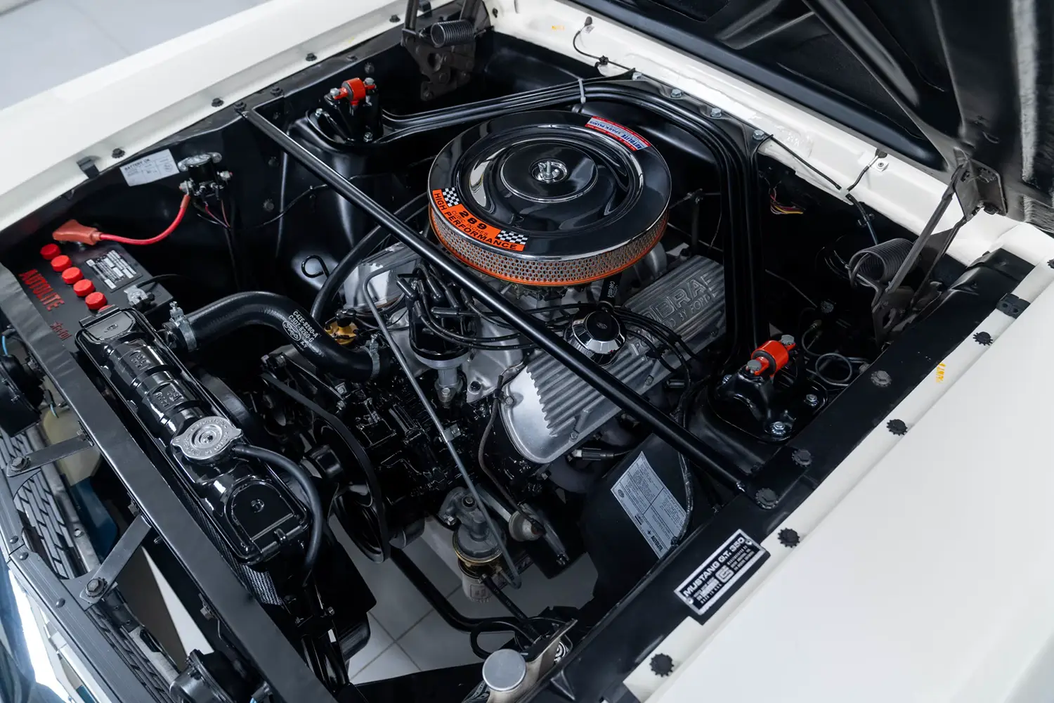 1966 Shelby GT350 Carryover