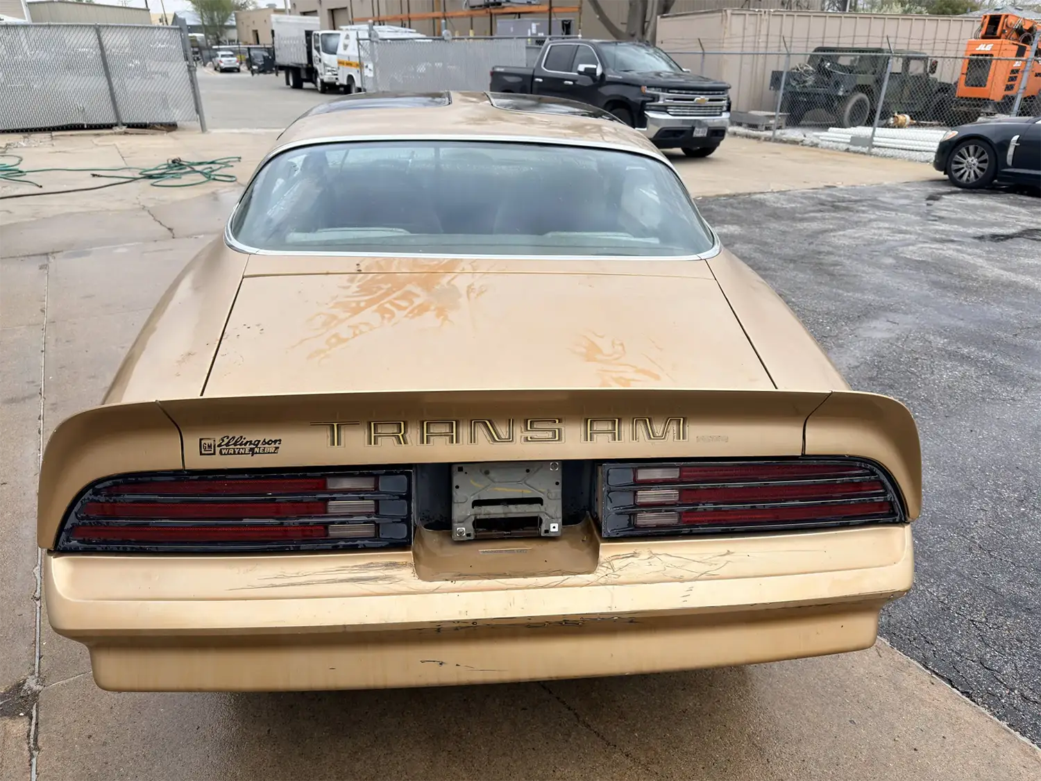 1978 Pontiac Firebird Trans Am - Photo 2