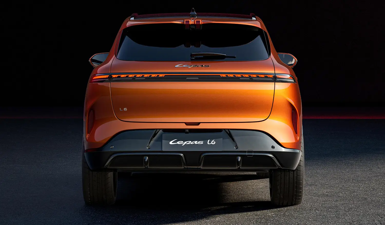 LEPAS L6