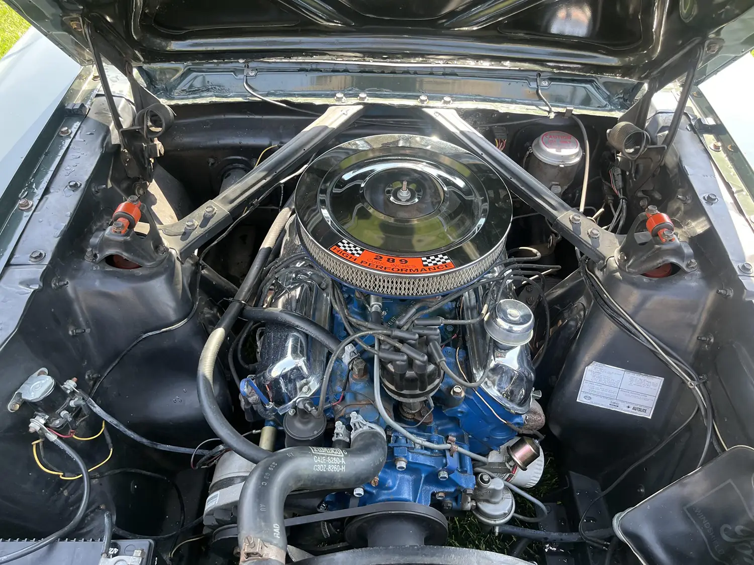 1966 Ford Mustang K-Code - Photo 5