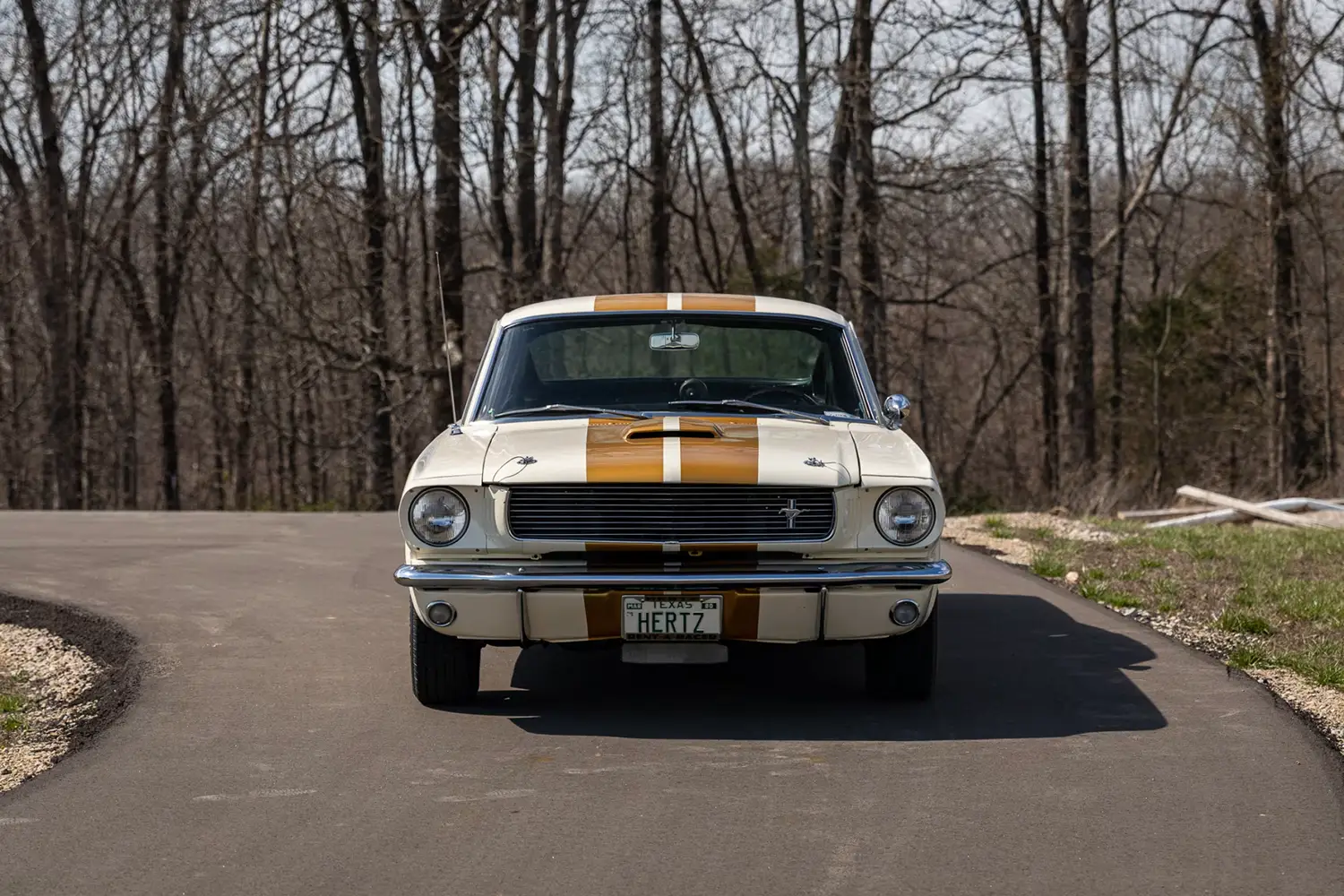 1966 Shelby GT350H Fastback - Photo 7
