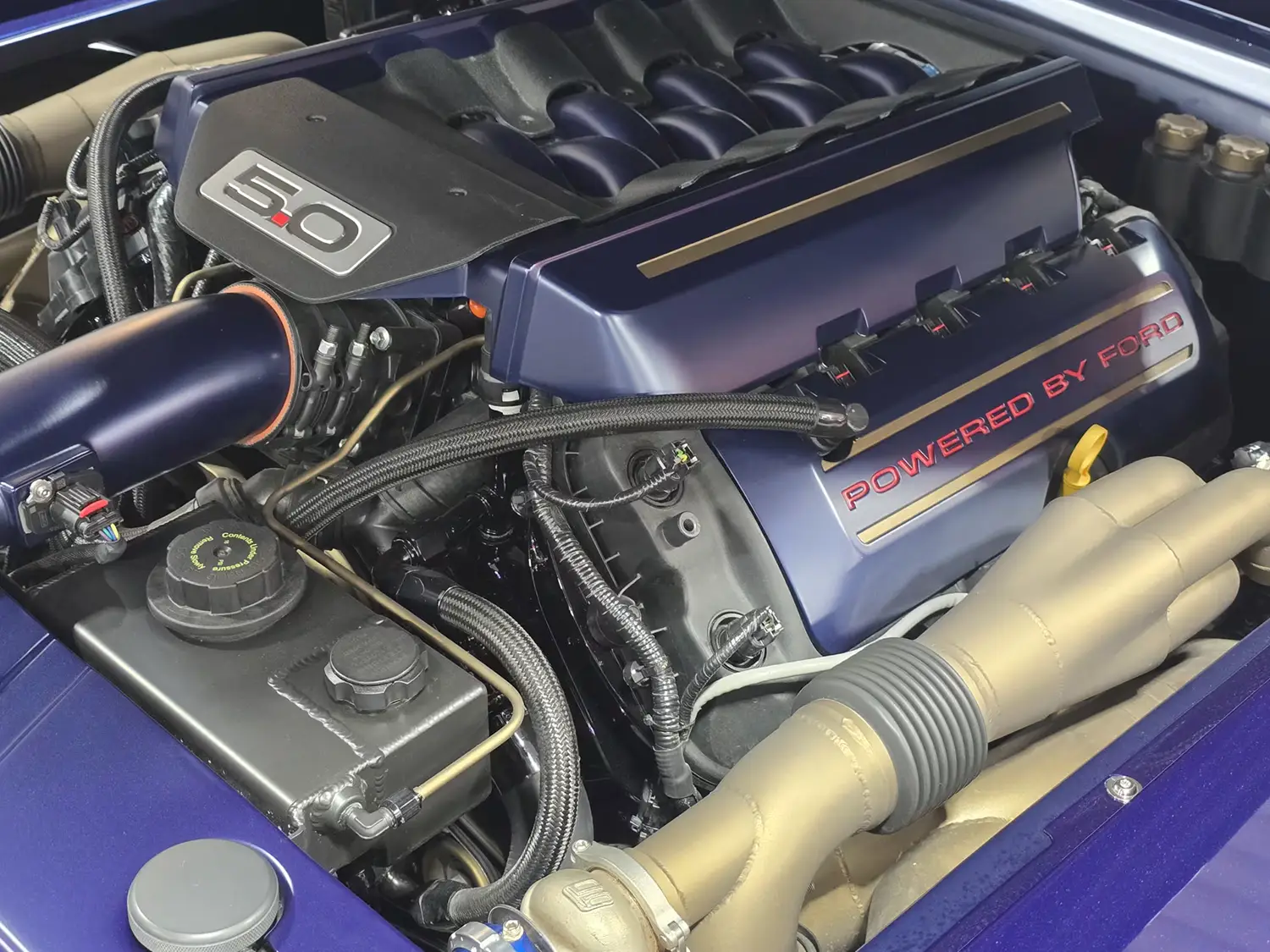 1967 Ford Mustang Custom Fastback 1967 Ford Mustang Custom Fastback