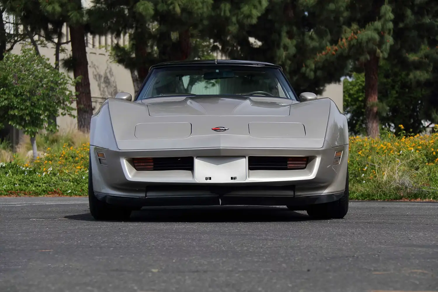 1982 Chevrolet Corvette Collector Edition