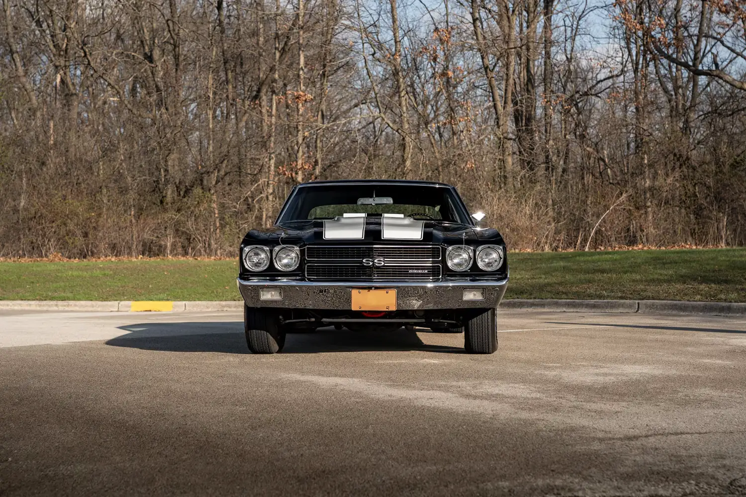 1970 Chevrolet Chevelle LS5 1970 Chevrolet Chevelle LS5