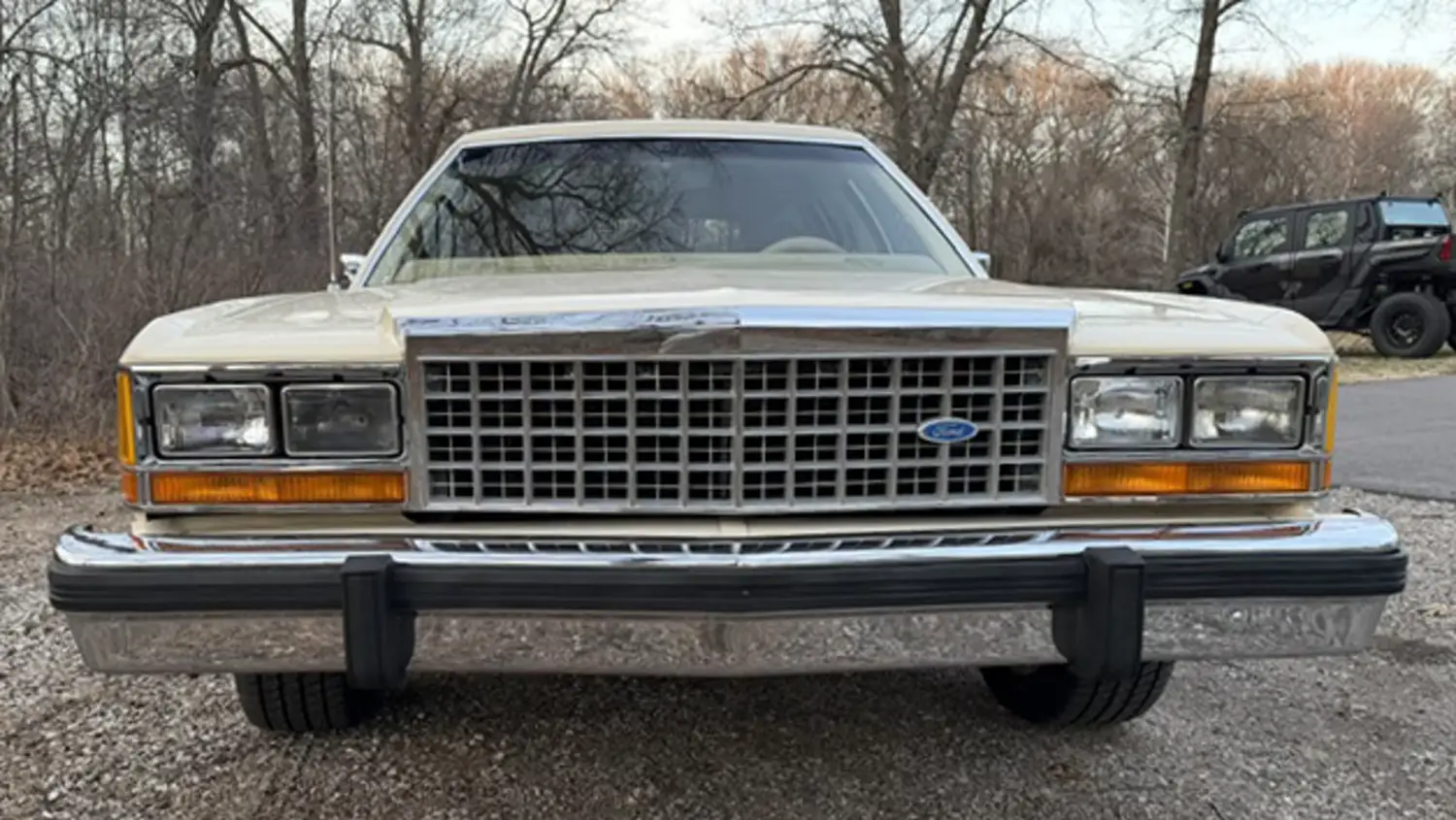 1984 Ford LTD Crown Victoria Wagon - Photo 6