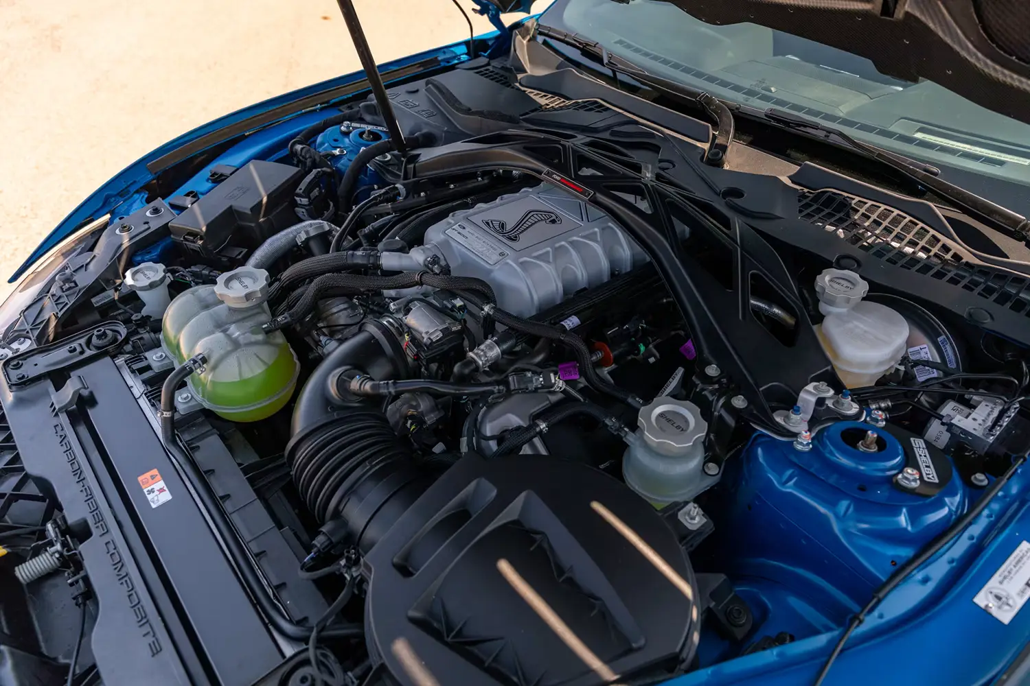 Ford Shelby GT500 SE Ford Shelby GT500 SE