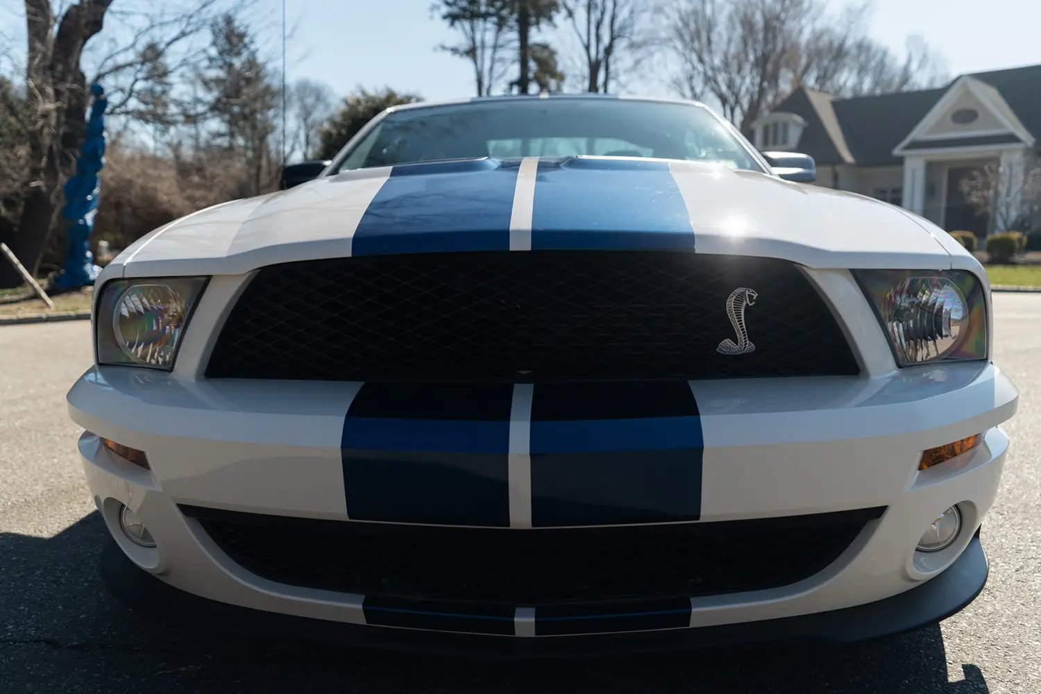 2007 Ford Mustang Shelby GT500 2007 Ford Mustang Shelby GT500