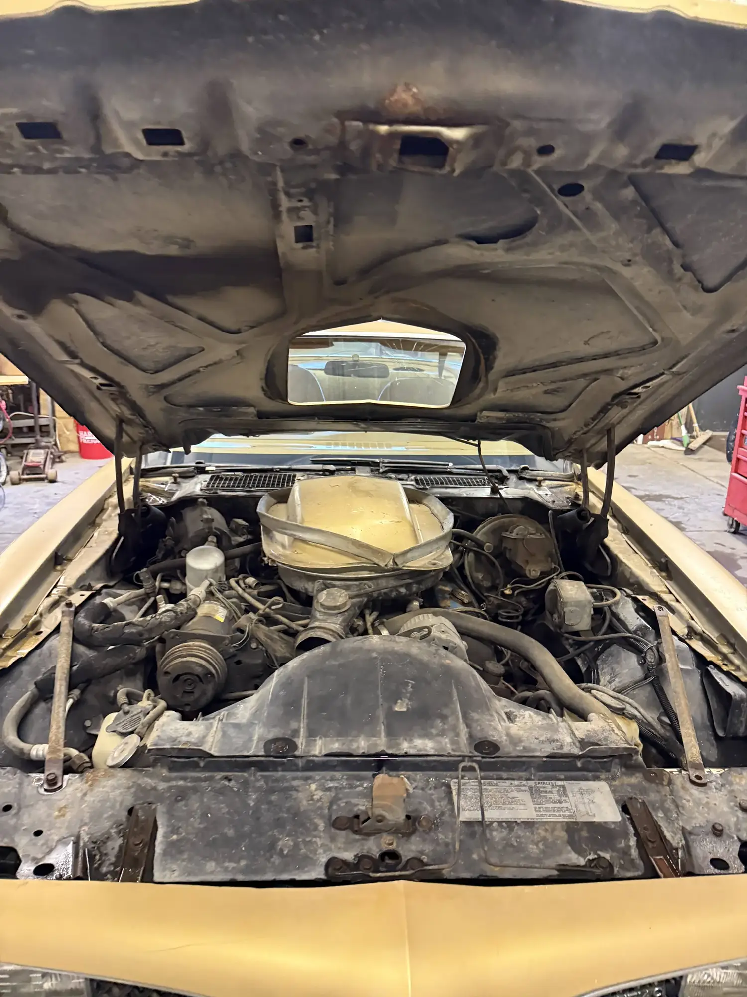 1978 Pontiac Firebird Trans Am - Photo 5