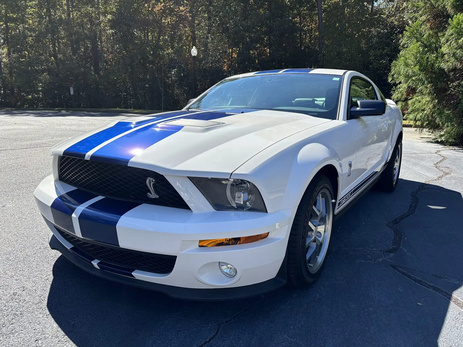 2009 Ford Mustang Shelby GT500