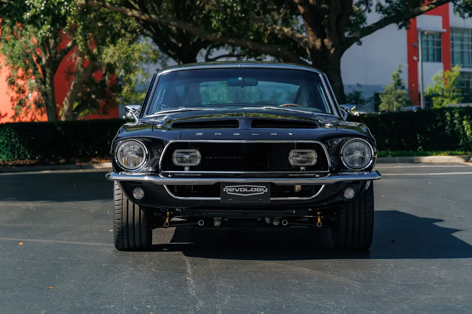 1968 Shelby GT350 Fastback by Revology - Photo 8