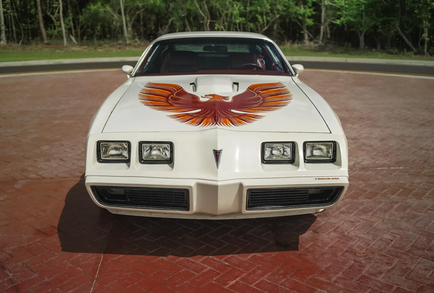 1979 Pontiac Firebird Trans Am