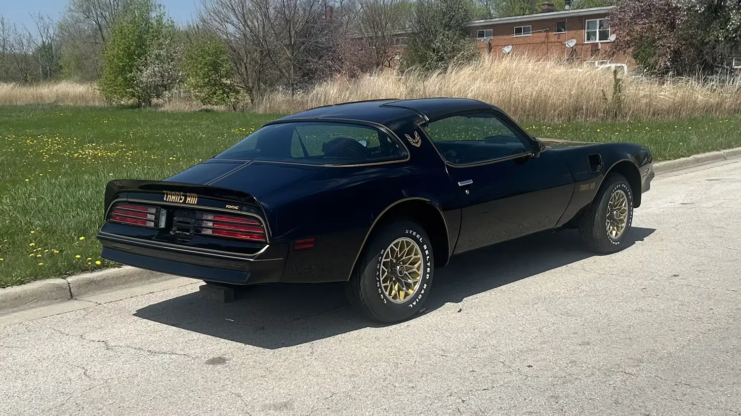 1977 Pontiac Trans Am SE