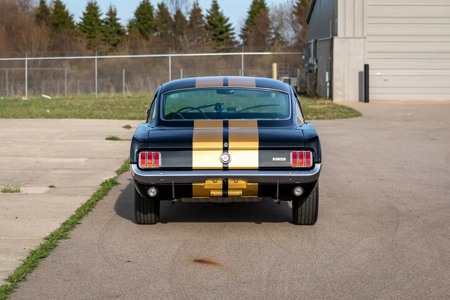 1966 Shelby GT350H Fastback