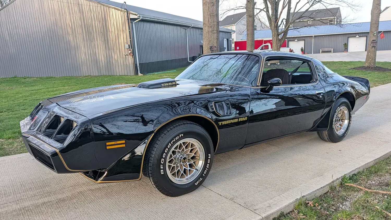 1979 Pontiac Trans Am SE