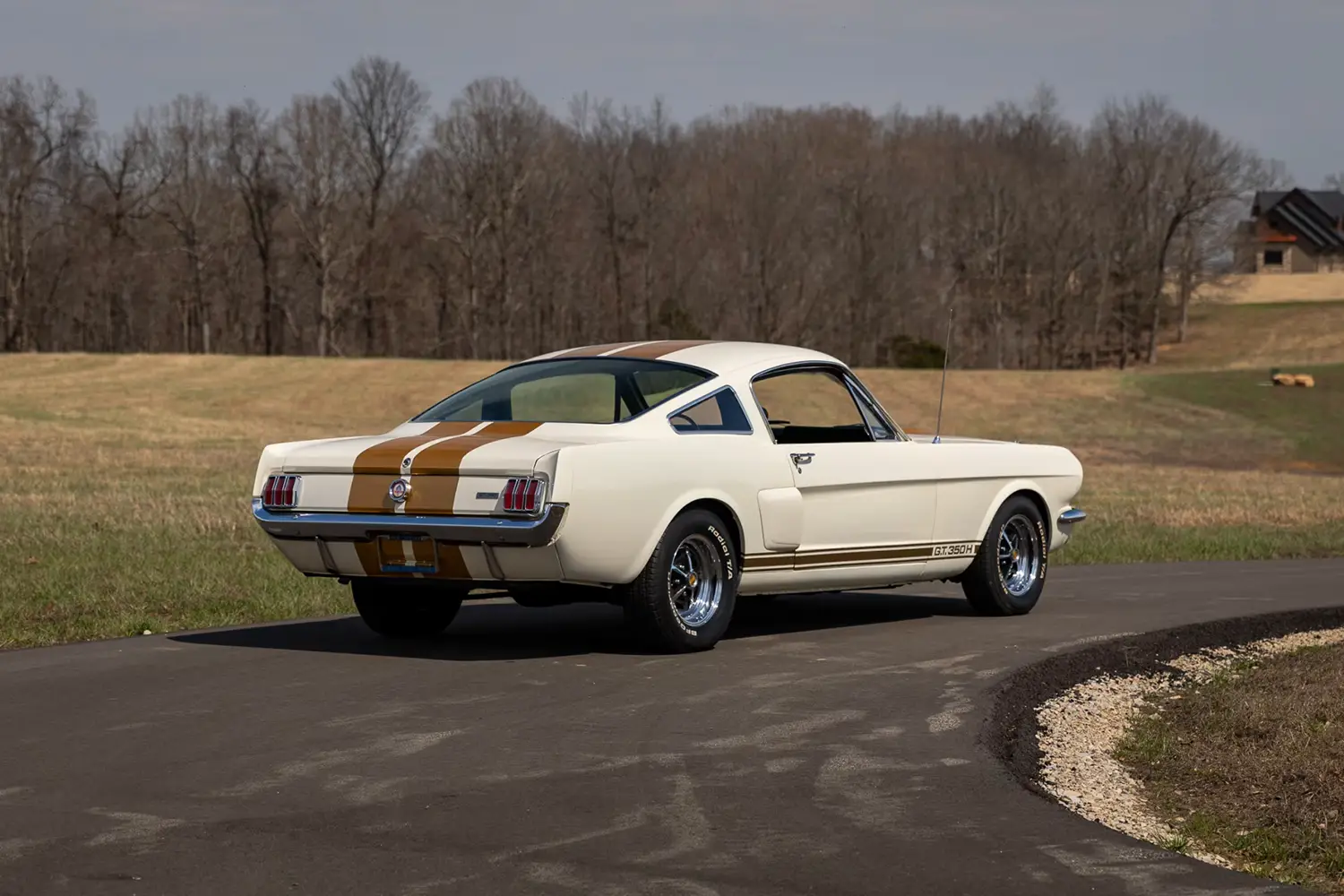 1966 Shelby GT350H Fastback - Photo 3