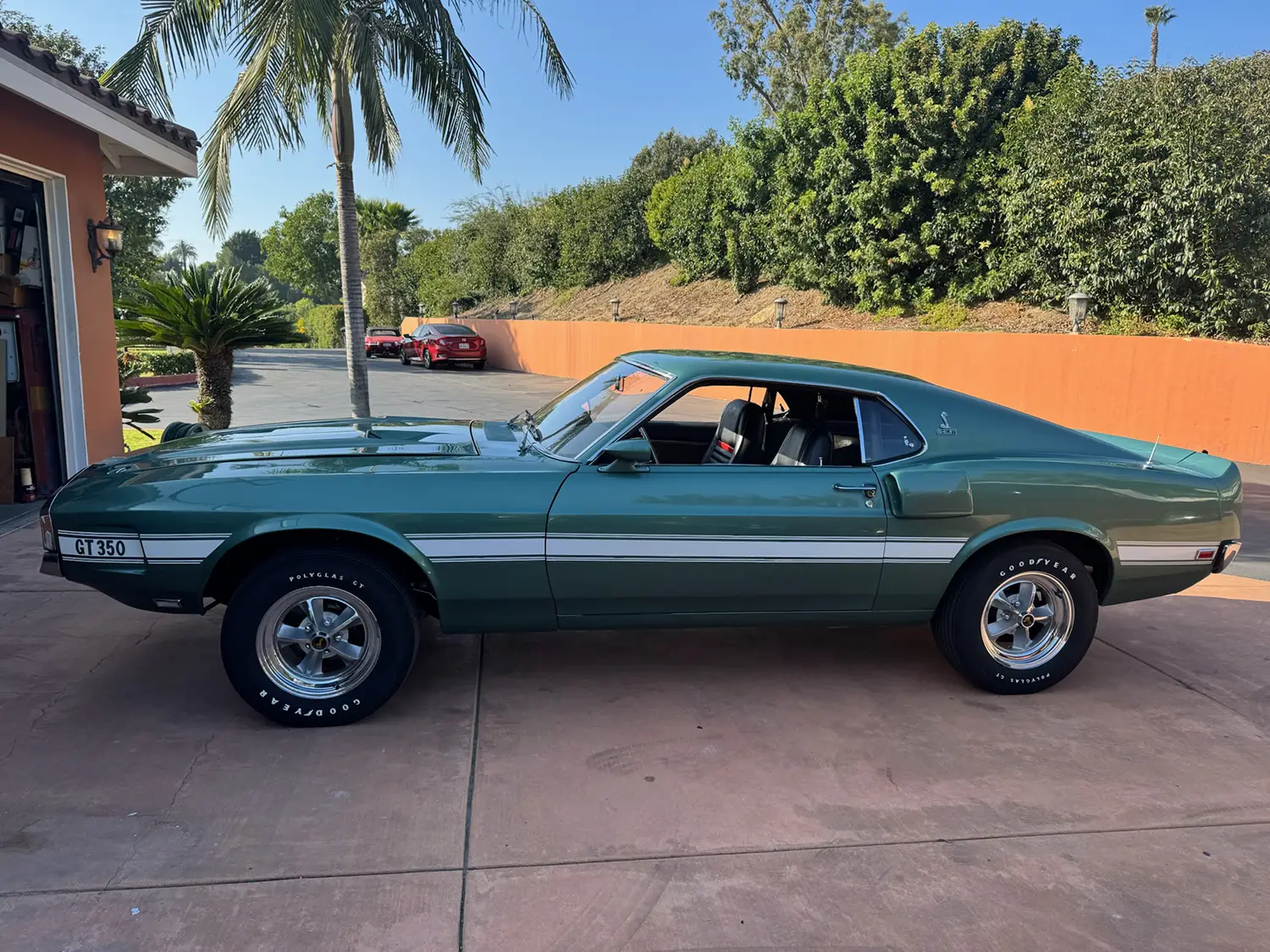 1969 Shelby GT350