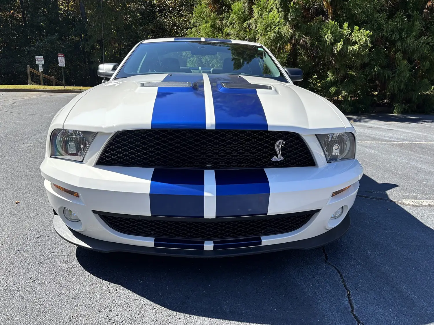 2009 Ford Mustang Shelby GT500