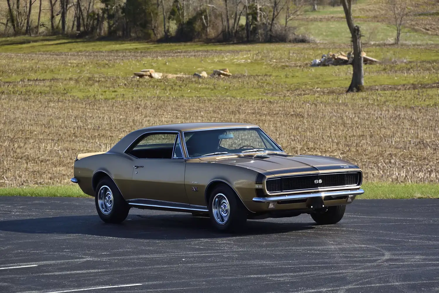 1967 Chevrolet Camaro RS/SS
