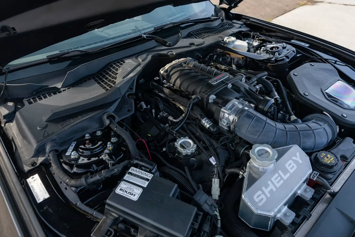 Focus Keyphrase 2019 Ford Shelby GT-H Convertible