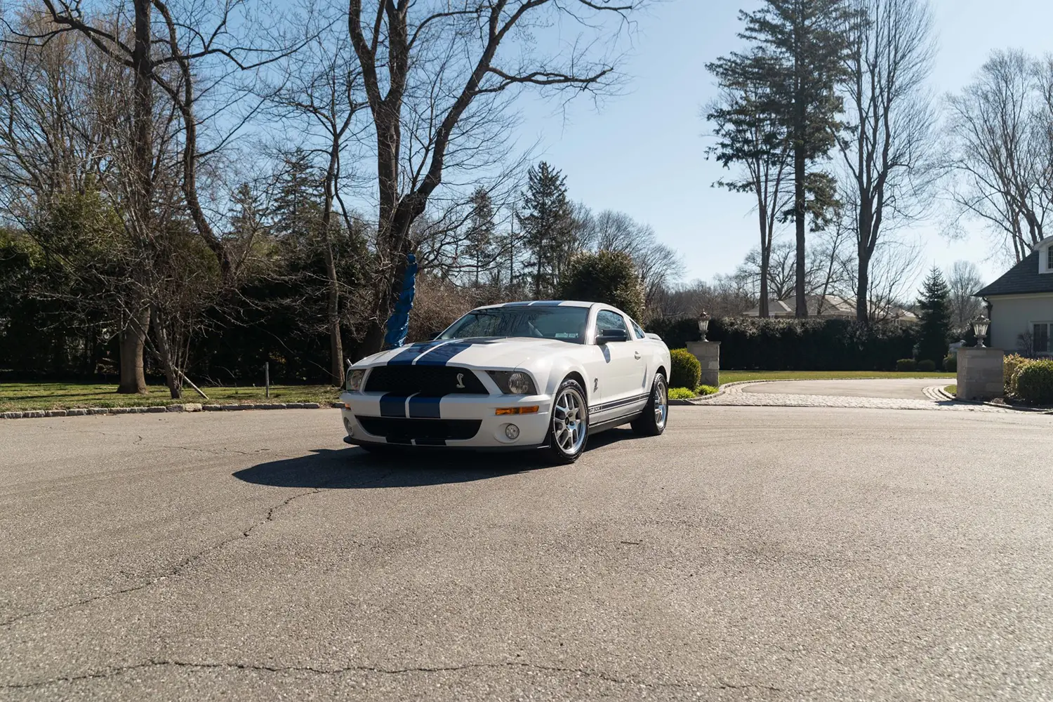 2007 Ford Mustang Shelby GT500 2007 Ford Mustang Shelby GT500