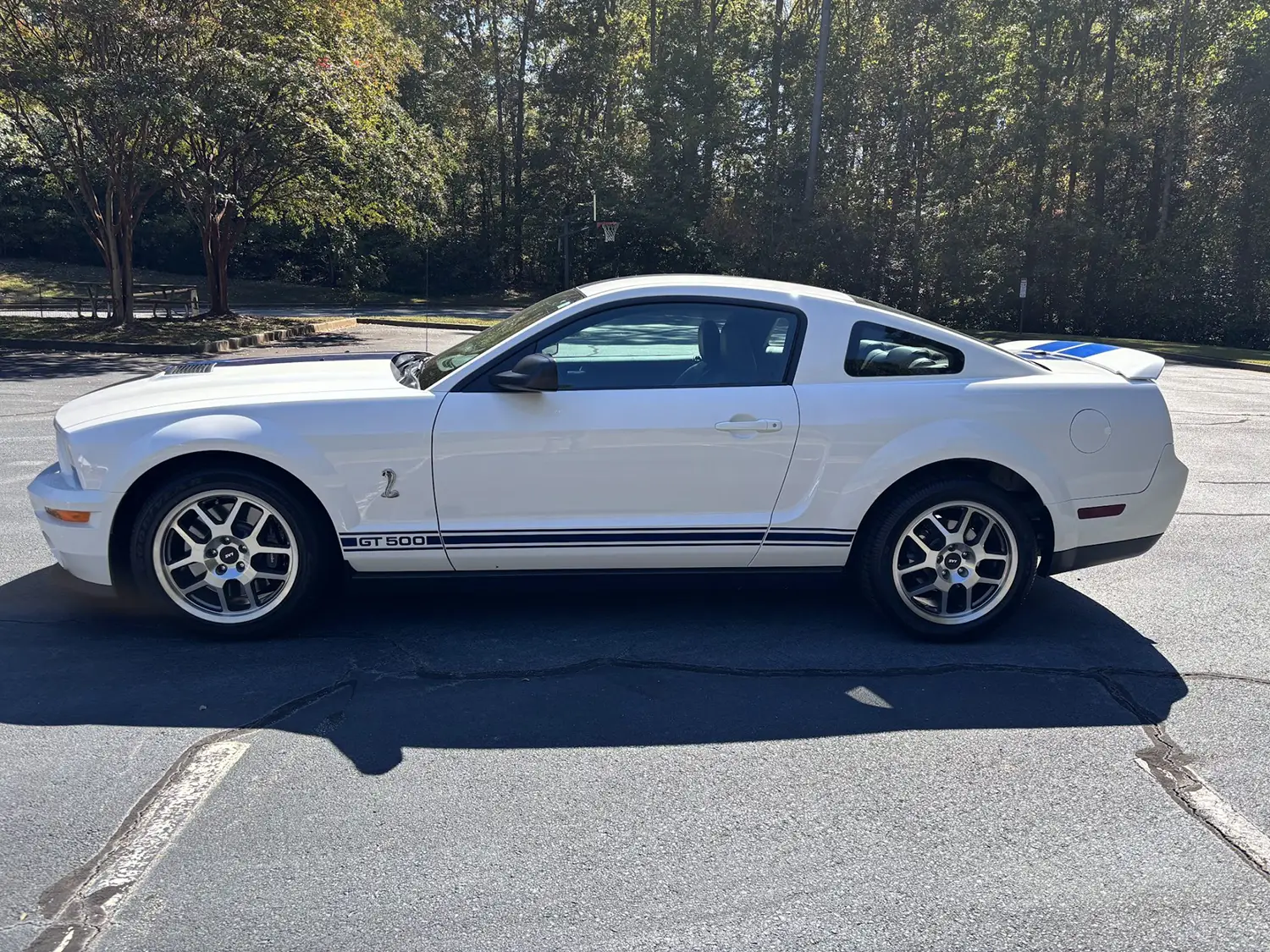 2009 Ford Mustang Shelby GT500