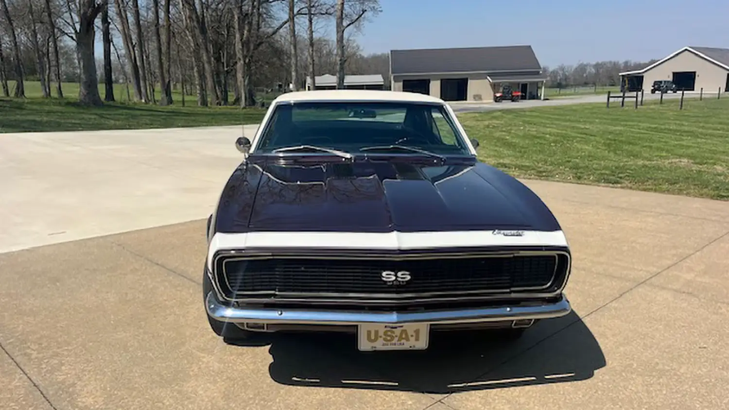 1967 Chevrolet Camaro RS/SS