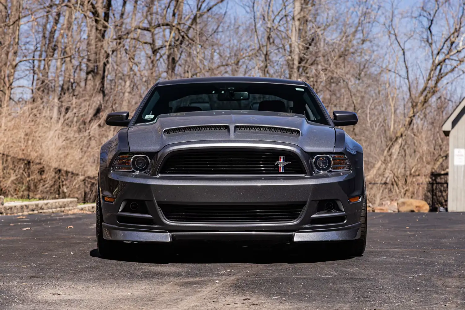 2014 Ford Mustang GT/CS