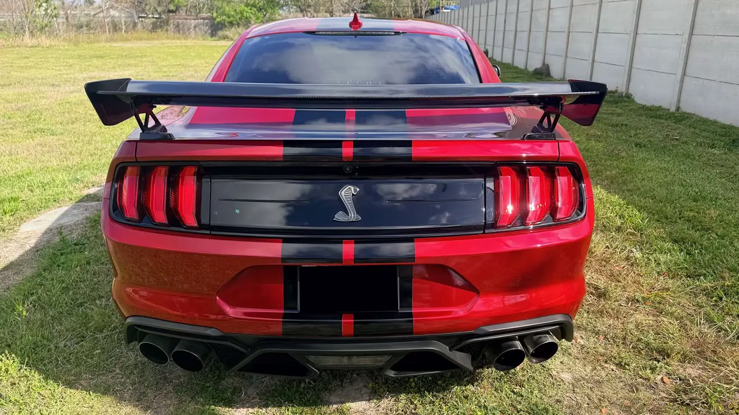 2022 Ford Shelby GT500