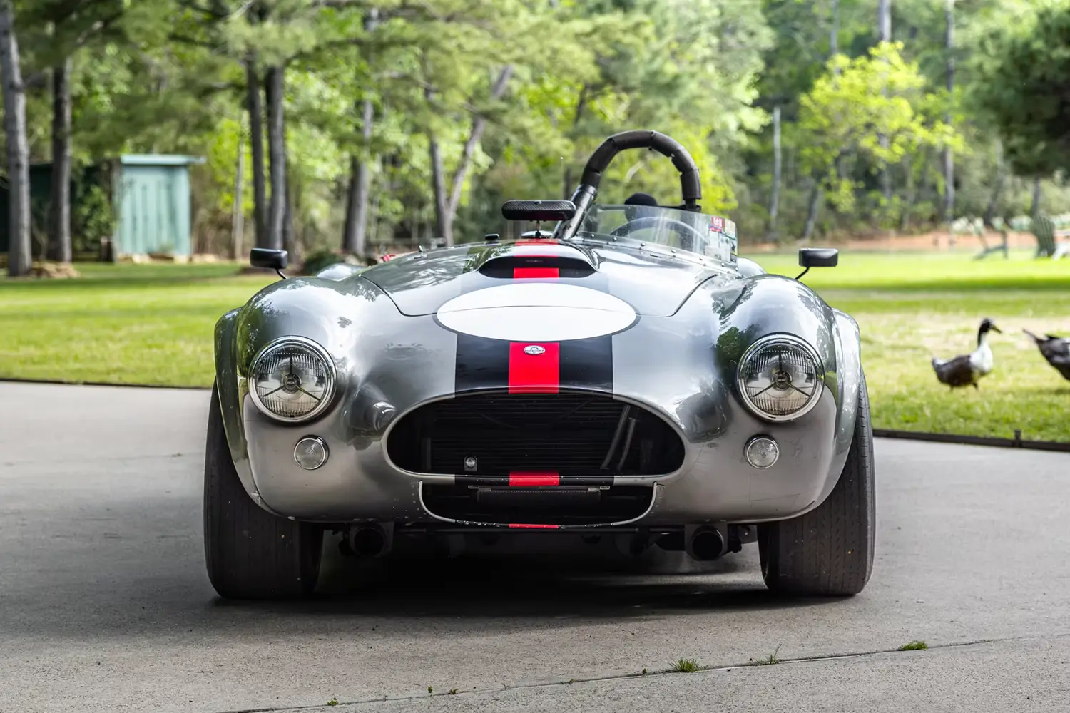 1965 Shelby 289 Cobra Roadster