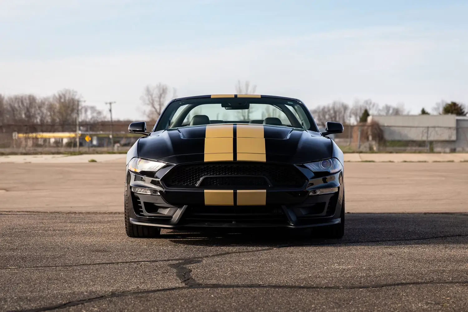 Focus Keyphrase 2019 Ford Shelby GT-H Convertible