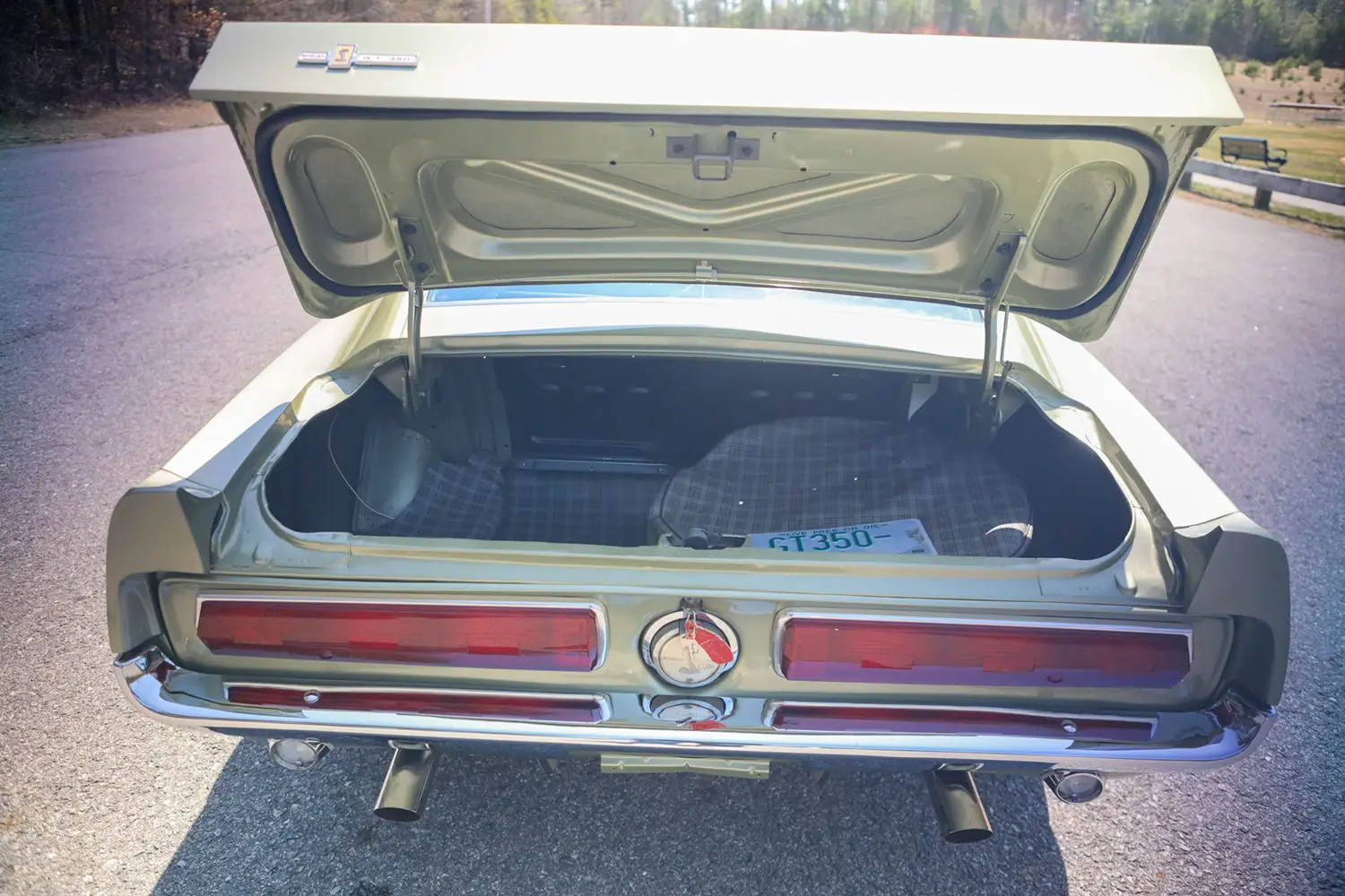 1967 Shelby Mustang GT350 - Photo 10