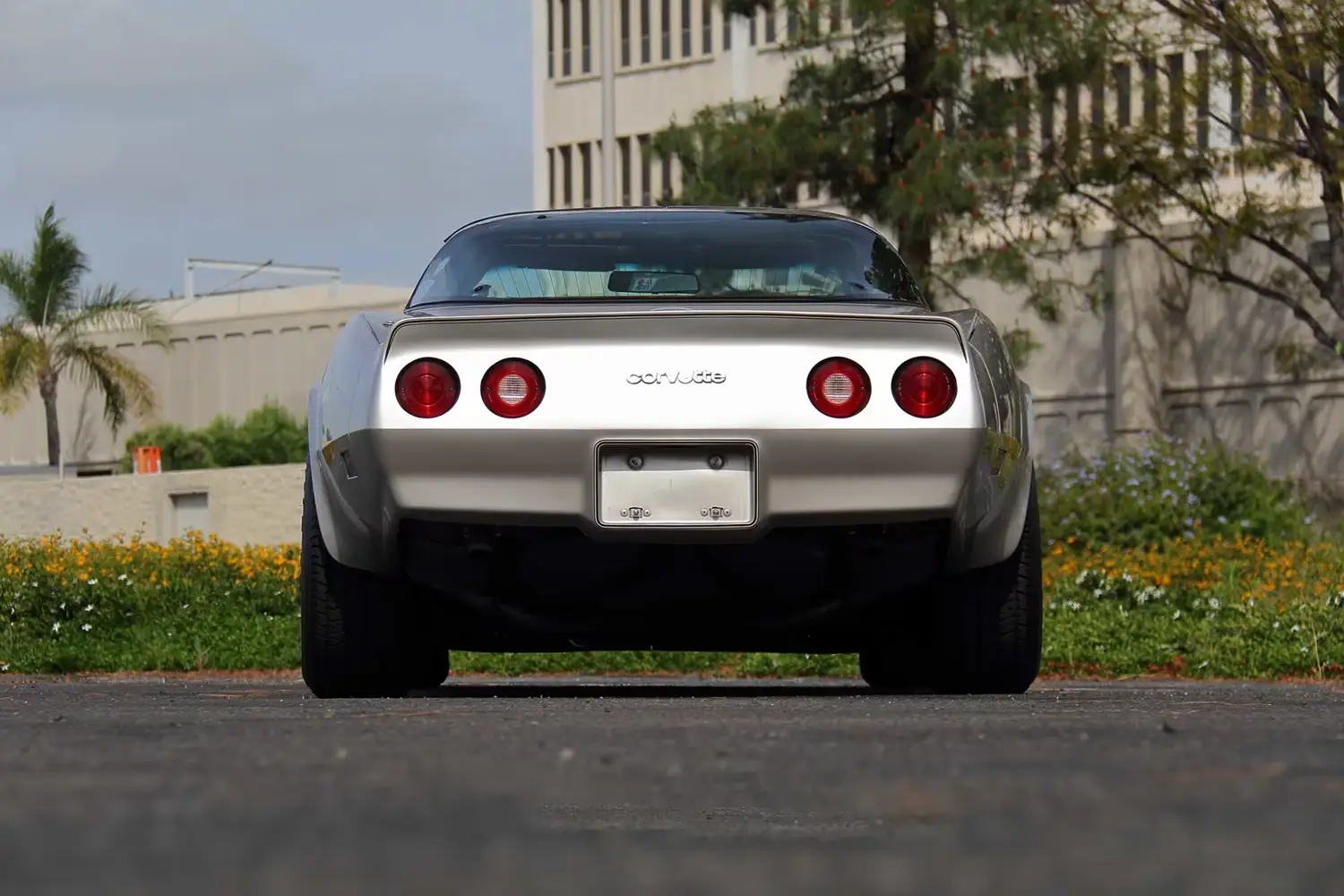 1982 Chevrolet Corvette Collector Edition