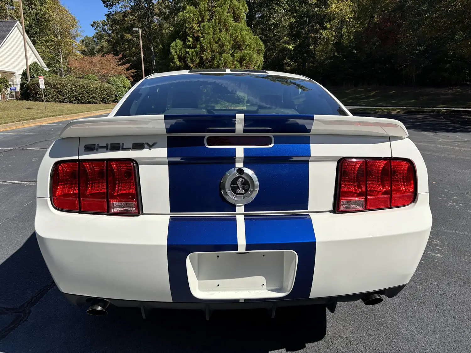 2009 Ford Mustang Shelby GT500