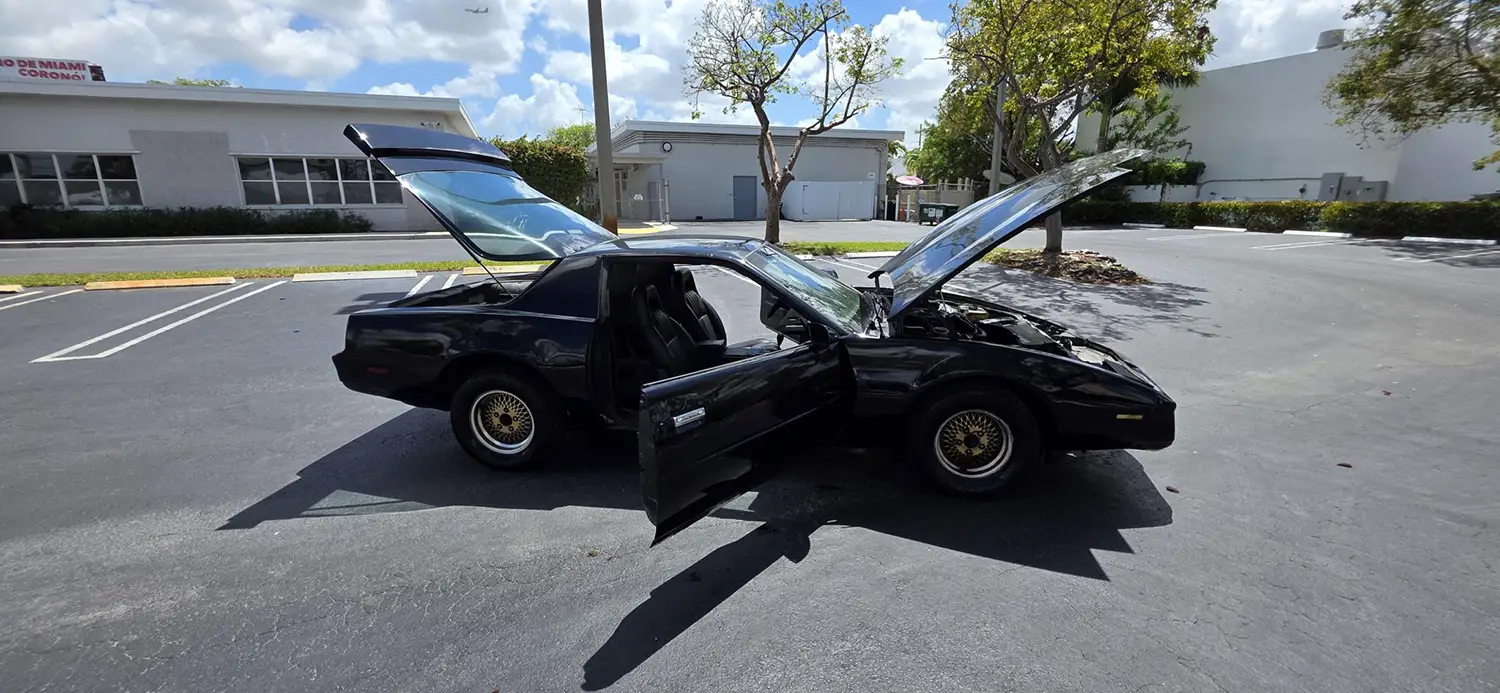 1982 Pontiac Firebird Project