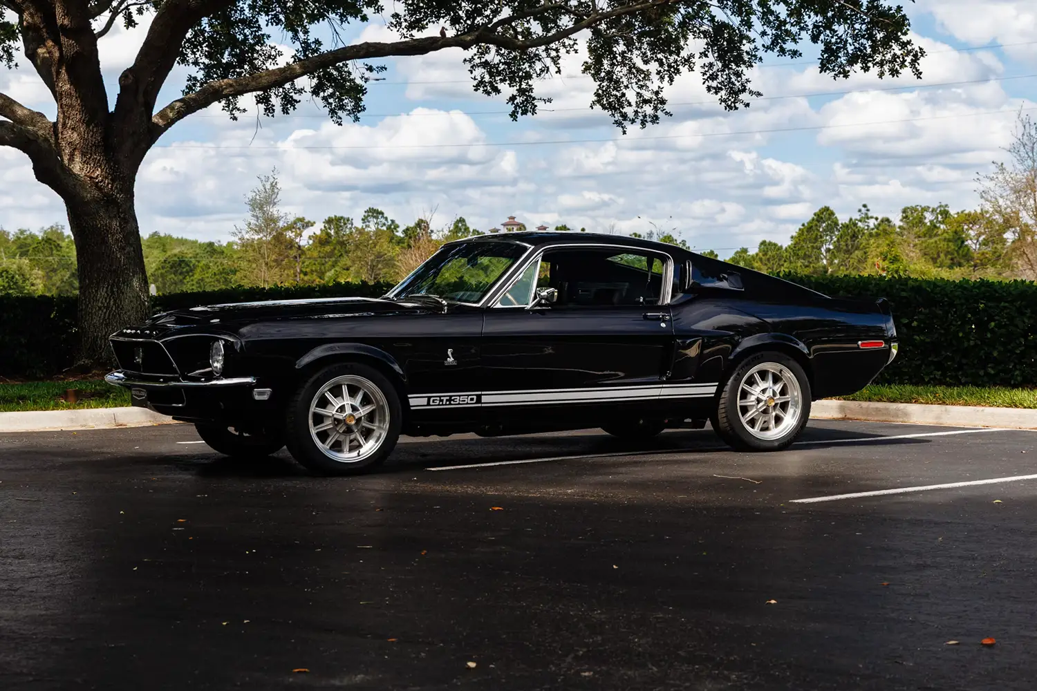 1968 Shelby GT350 Fastback by Revology - Photo 6