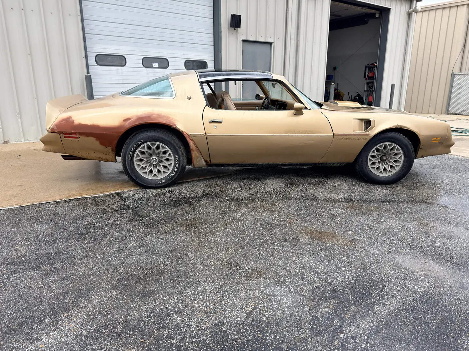 1978 Pontiac Firebird Trans Am - Photo 6